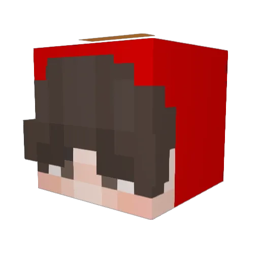 zetzet__ Minecraft avatar head, 3D render