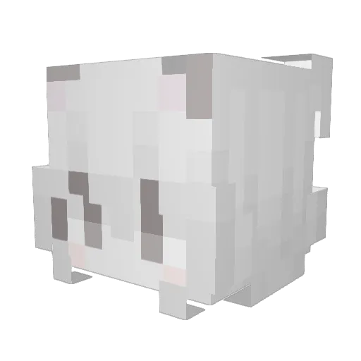 zeulol Minecraft avatar head, 3D render