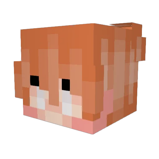 zeus30x Minecraft avatar head, 3D render