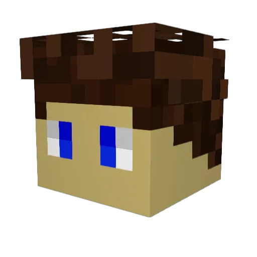Minecraft-Avatar von zev9: Kopf als 3D-Render