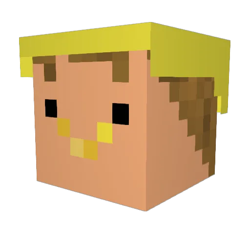 zevbrick Minecraft avatar head, 3D render