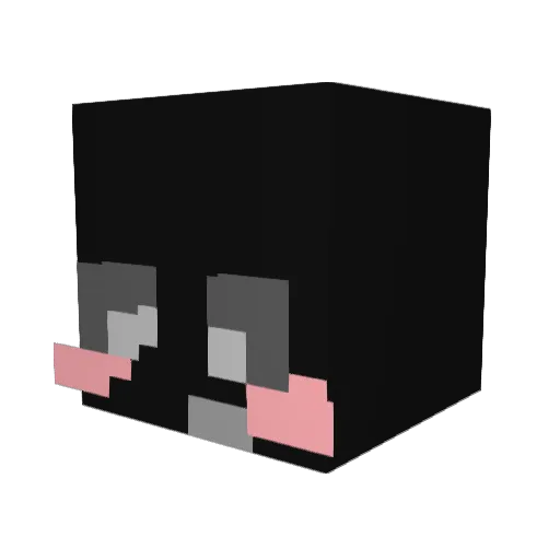 zevi0810 Minecraft avatar head, 3D render