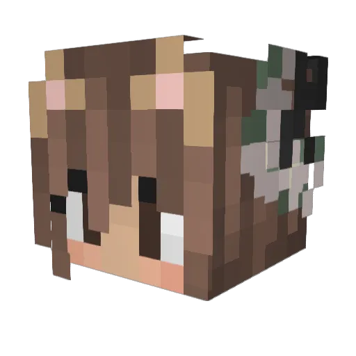 zevsek Minecraft avatar head, 3D render