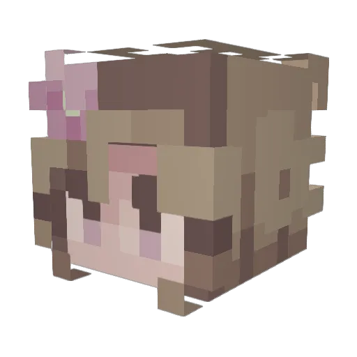 zeyder25 Minecraft avatar head, 3D render