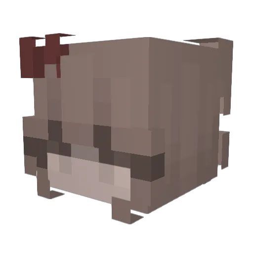 zeyn11 Minecraft avatar head, 3D render