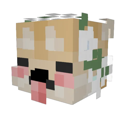 zeze07 Minecraft avatar head, 3D render