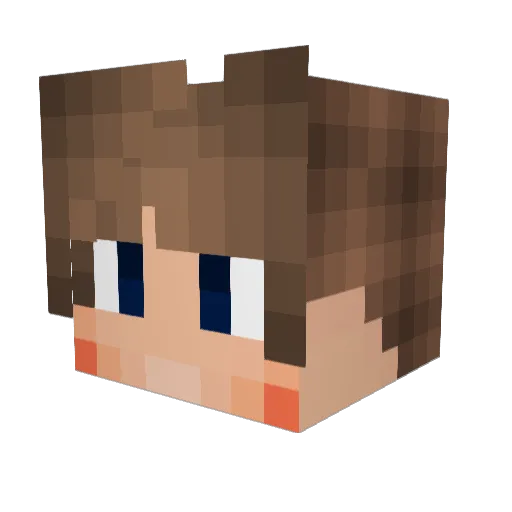 zfastyck Minecraft avatar head, 3D render