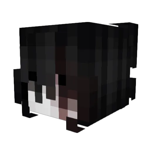 zfif Minecraft avatar head, 3D render