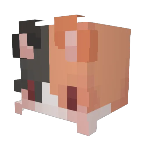 zh_yanli Minecraft avatar head, 3D render