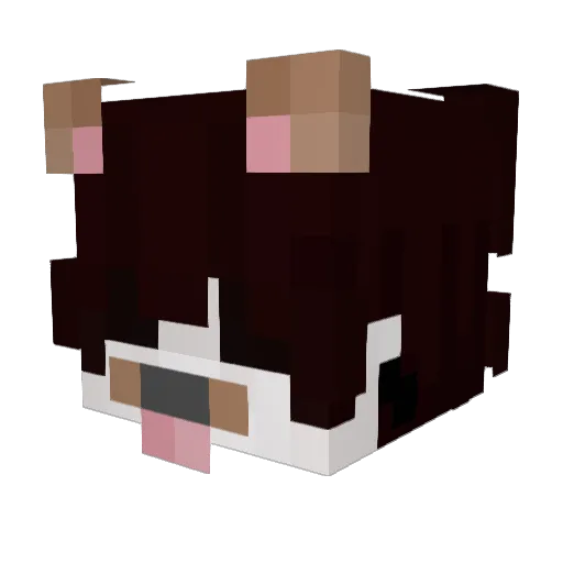 zhackeryyy Minecraft avatar head, 3D render