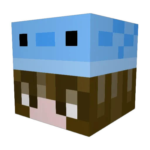 zhaltyyy Minecraft avatar head, 3D render