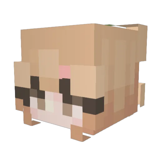 zhanya Minecraft avatar head, 3D render