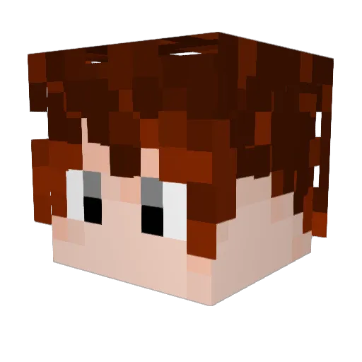 zhaoleeee_awa Minecraft avatar head, 3D render