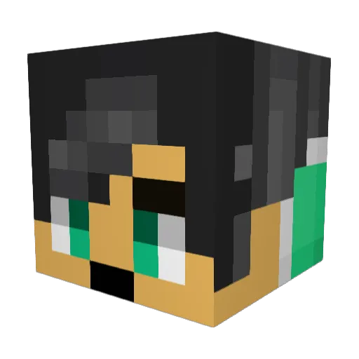 zhaoword Minecraft avatar head, 3D render
