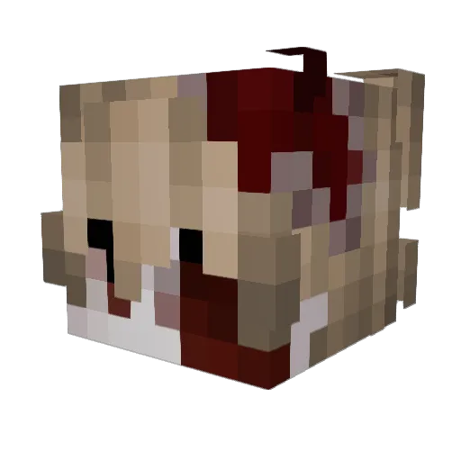 zhaxxx Minecraft avatar head, 3D render