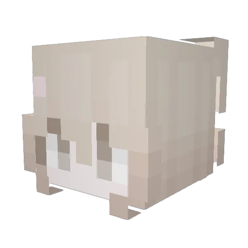 zhenzhou91206 Minecraft avatar head, 3D render