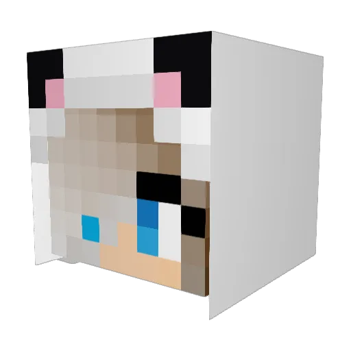 zheringy Minecraft avatar head, 3D render