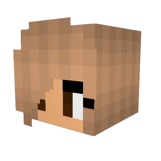 zho256 Minecraft avatar head, 3D render