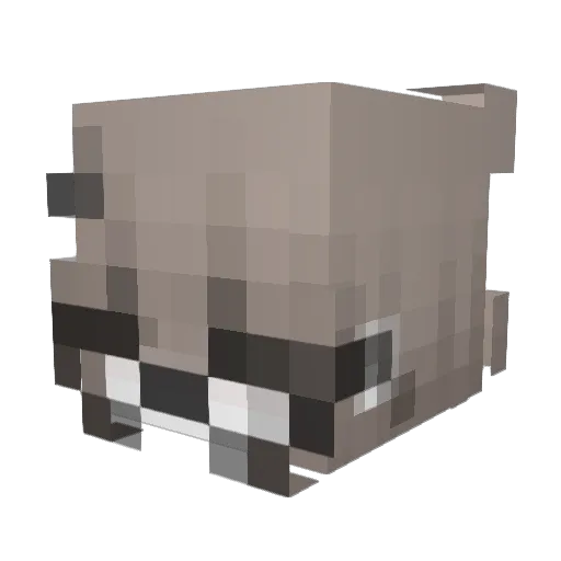 zhongnan2 Minecraft avatar head, 3D render