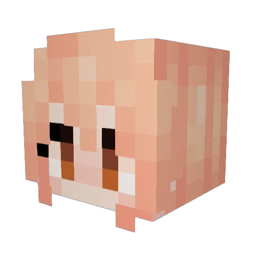 zhr1008 Minecraft avatar head, 3D render