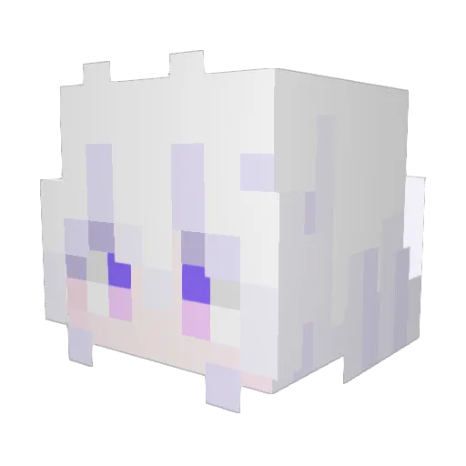 zhrryu Minecraft avatar head, 3D render