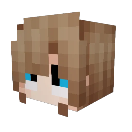 zi__pei Minecraft avatar head, 3D render