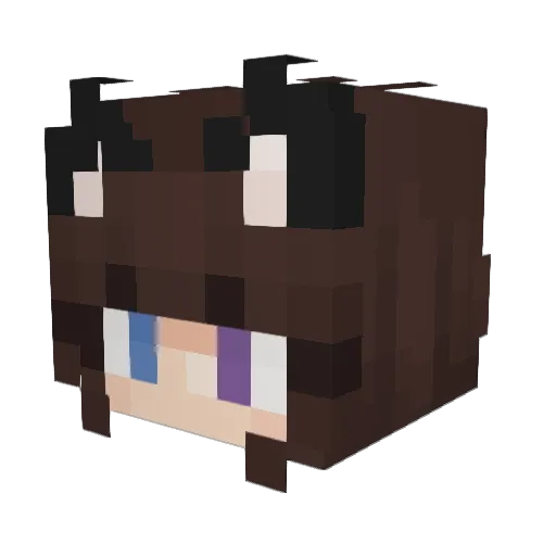 zianex_ Minecraft avatar head, 3D render