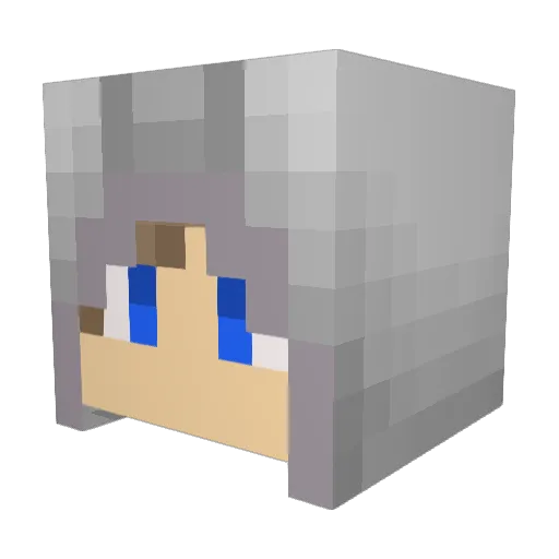 zickundzack Minecraft avatar head, 3D render