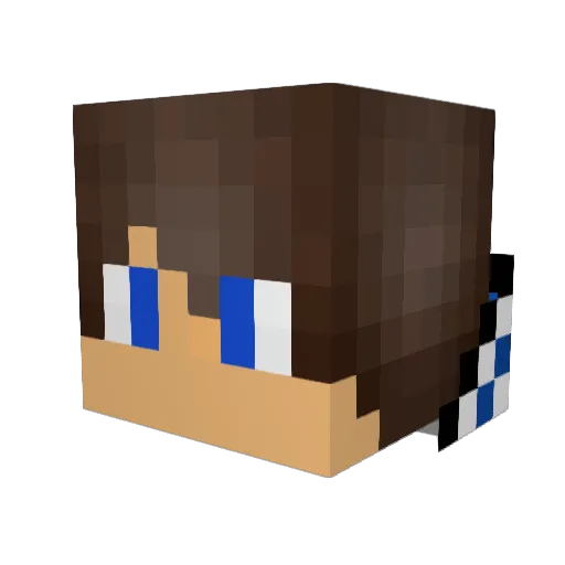 zietek426 Minecraft avatar head, 3D render