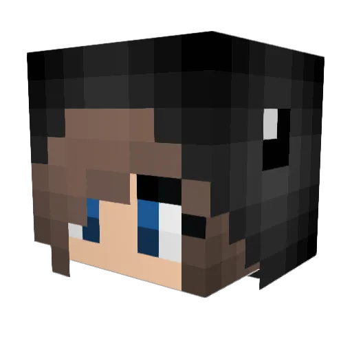 ziggityziggity Minecraft avatar head, 3D render