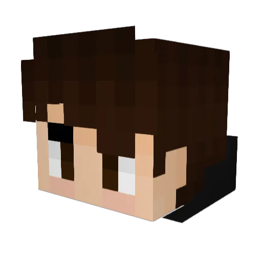 ziggy3031 Minecraft avatar head, 3D render