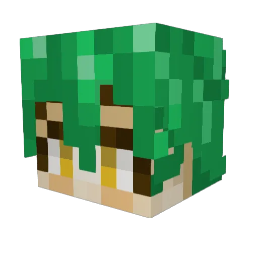 zigwzag Minecraft avatar head, 3D render