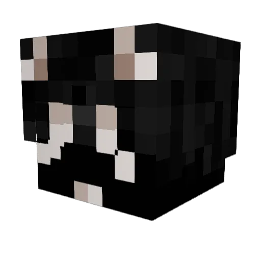 zilace Minecraft avatar head, 3D render