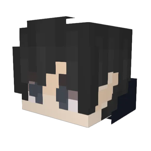 zim2456 Minecraft avatar head, 3D render