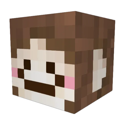 zimgir Minecraft avatar head, 3D render