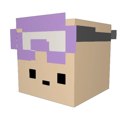 ziminix Minecraft avatar head, 3D render