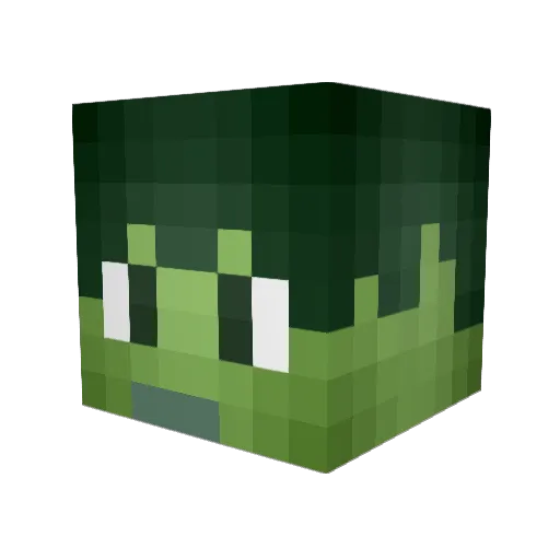 zimmes14 Minecraft avatar head, 3D render