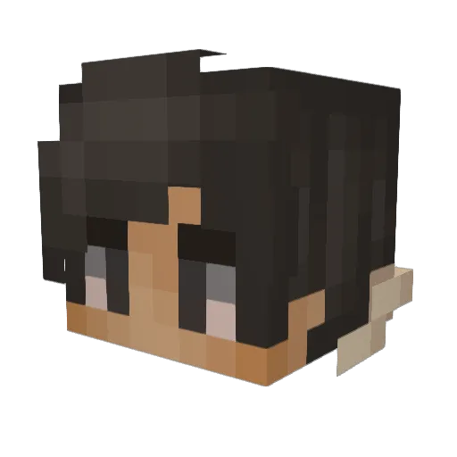 zink203 Minecraft avatar head, 3D render