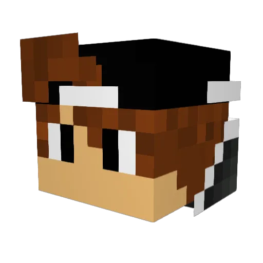 zio_ro Minecraft avatar head, 3D render