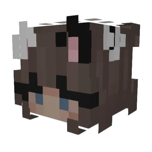 ziomalka Minecraft avatar head, 3D render