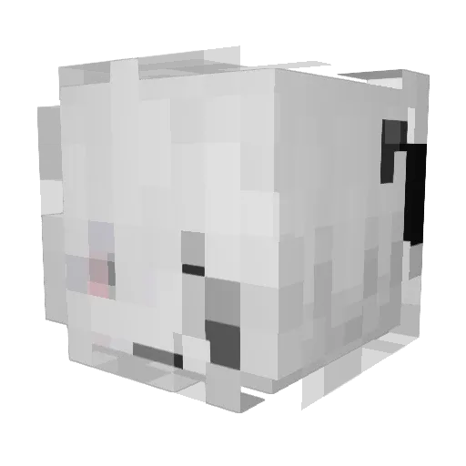 ziomybalkony Minecraft avatar head, 3D render