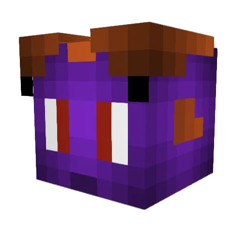 ziplockbob Minecraft avatar head, 3D render
