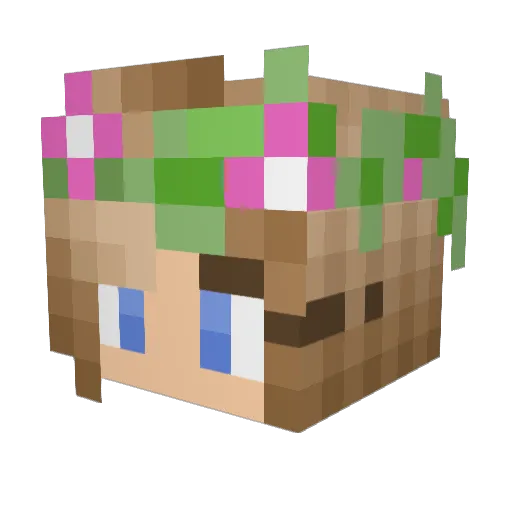 zippy2012 Minecraft avatar head, 3D render