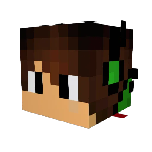 zipsja Minecraft avatar head, 3D render