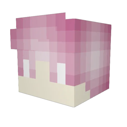 zipstep Minecraft avatar head, 3D render