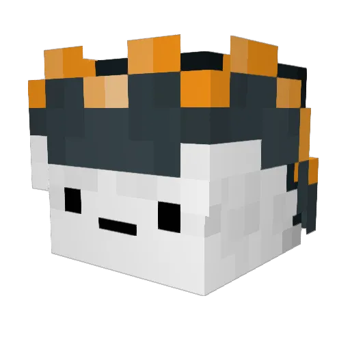 zipsteriX Minecraft avatar head, 3D render