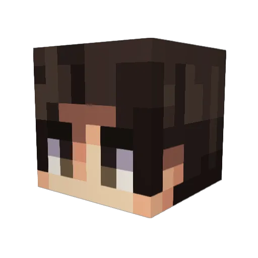 ziptieracer Minecraft avatar head, 3D render