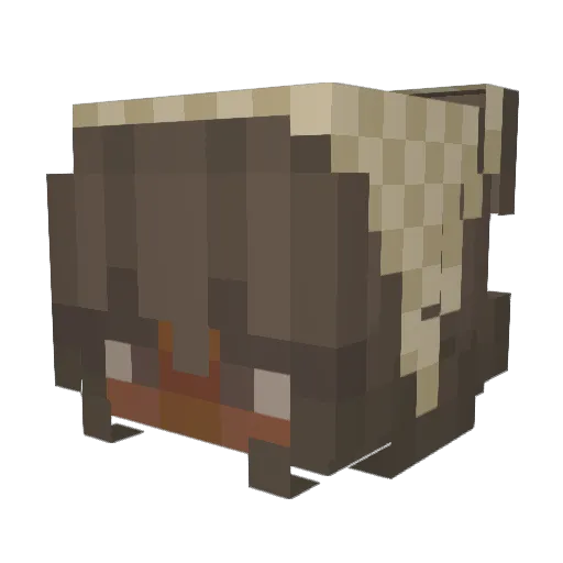 zitshhh Minecraft avatar head, 3D render