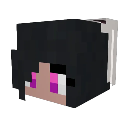 zizonjisu Minecraft avatar head, 3D render