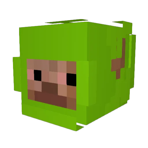 zjarany_john Minecraft avatar head, 3D render